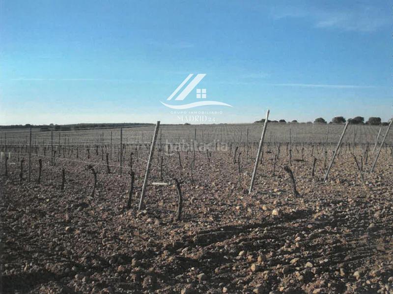 Foto 8beab8af-5596-49a5-8adf-633cd3925591. Finca rústica a Hinojosos (Los)