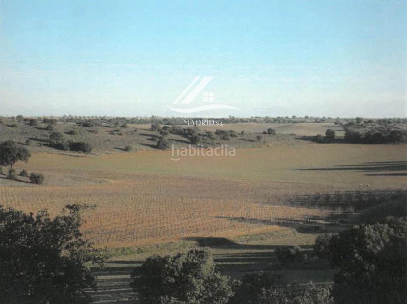 Foto 8c27679f-5800-4981-bd2b-e95c79f92fdb. Finca rústica a Hinojosos (Los)