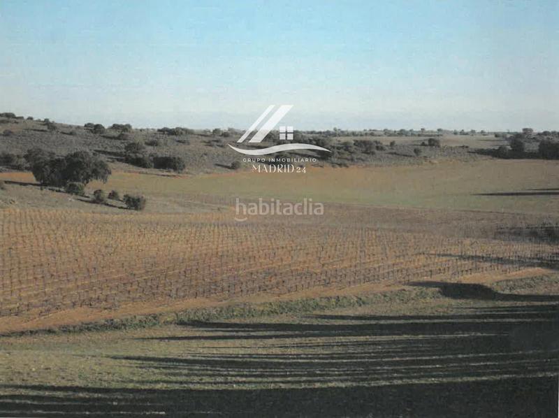 Foto 986f1372-229c-47d8-9022-7baa200a6e57. Finca rústica a Hinojosos (Los)