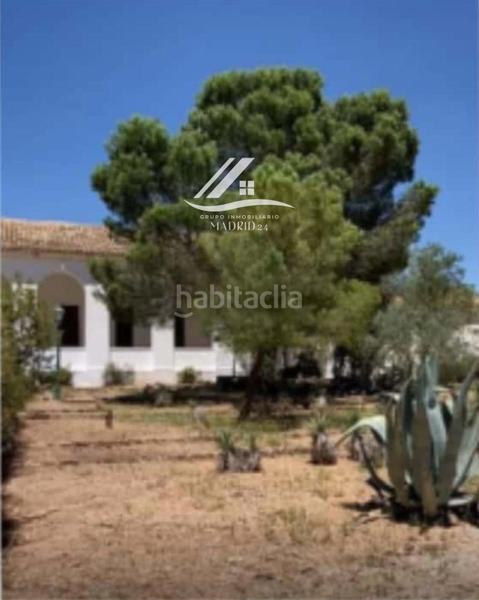 Foto b78849a1-e53c-4ae9-a0b0-9adc3b2d4b2c. Finca rústica a Hinojosos (Los)