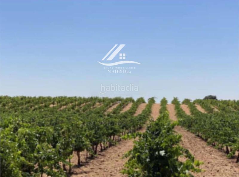 Foto c319ca32-e22b-404b-9860-1f86fb2f3ce4. Finca rústica a Hinojosos (Los)