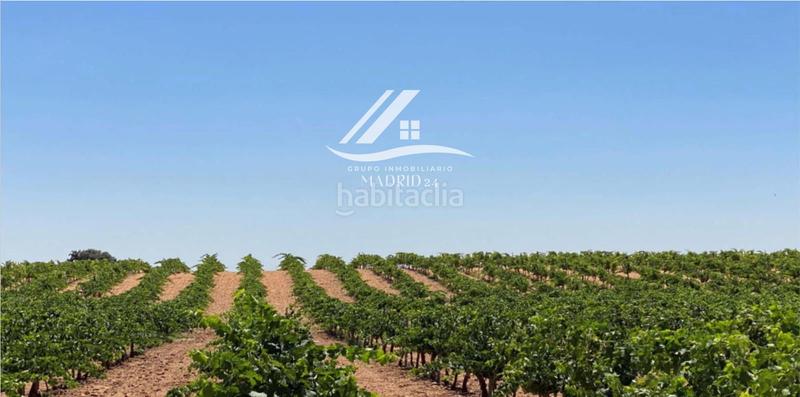 Foto ca2dc1fd-e822-444c-8f0c-603033e20a21. Finca rústica a Hinojosos (Los)