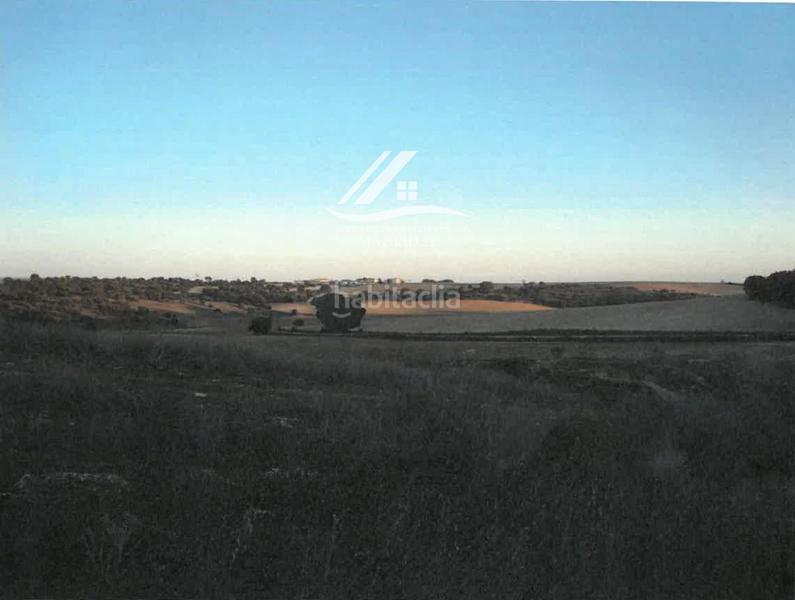 Foto d8309b01-67a4-43f7-87ae-ae36a25488d1. Finca rústica a Hinojosos (Los)