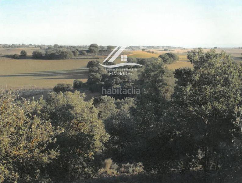 Foto e360e894-7edc-4118-bab5-fc5e44ee026b. Finca rústica a Hinojosos (Los)