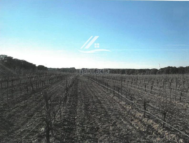 Foto e44ef3b8-cf98-4e10-a829-5181b4c4ab57. Finca rústica a Hinojosos (Los)