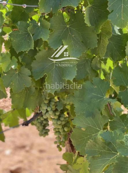 Foto f34cbd5b-ab46-436e-854c-0040c2eb2503. Finca rústica a Hinojosos (Los)