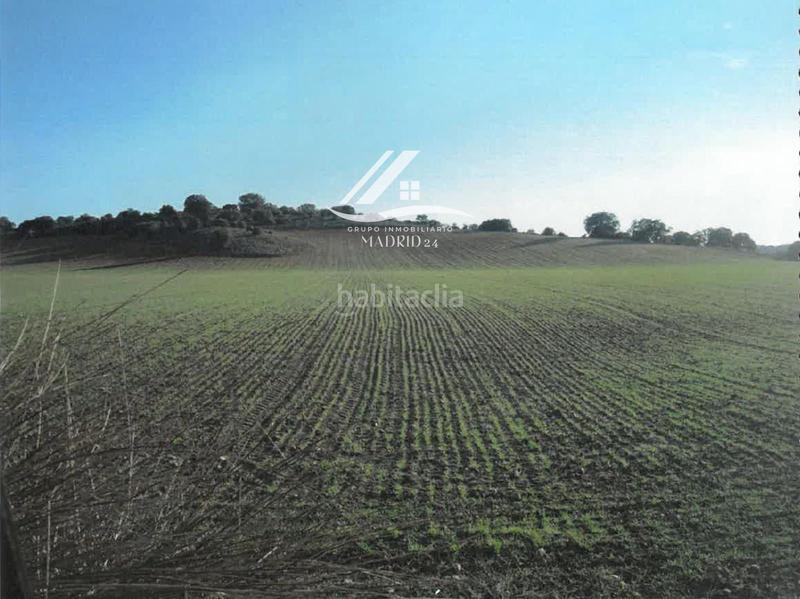 Foto fb3a8007-88ec-4f25-80c4-5fcef9e6bc9a. Finca rústica a Hinojosos (Los)