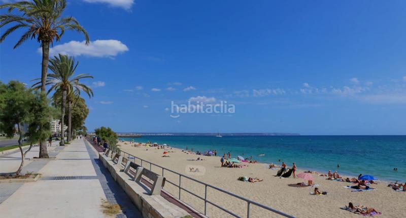 Foto c8ab7caa-0567-4e8d-ac2f-6a389b01dac7. Alquiler piso alquiler piso en Can Picafort temporada de invierno en Santa Margalida