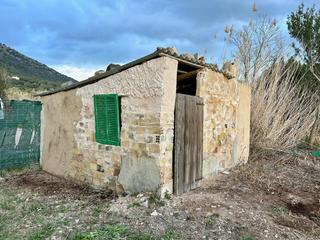Mas à Sa Pobla. Finca rustica con caseta  en venta en sa pobla