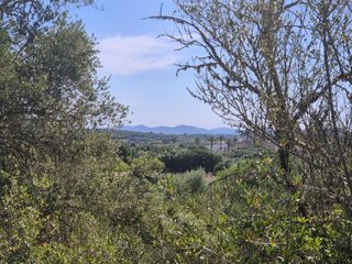 Fondo rustico in Porreres. Finca rústica en porreres