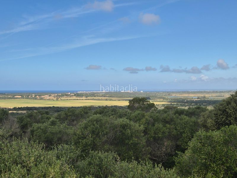 Foto 5ba540ec-4116-4639-89cc-0d39d0b05cc3. Finca rústica a Santanyí poble Santanyí