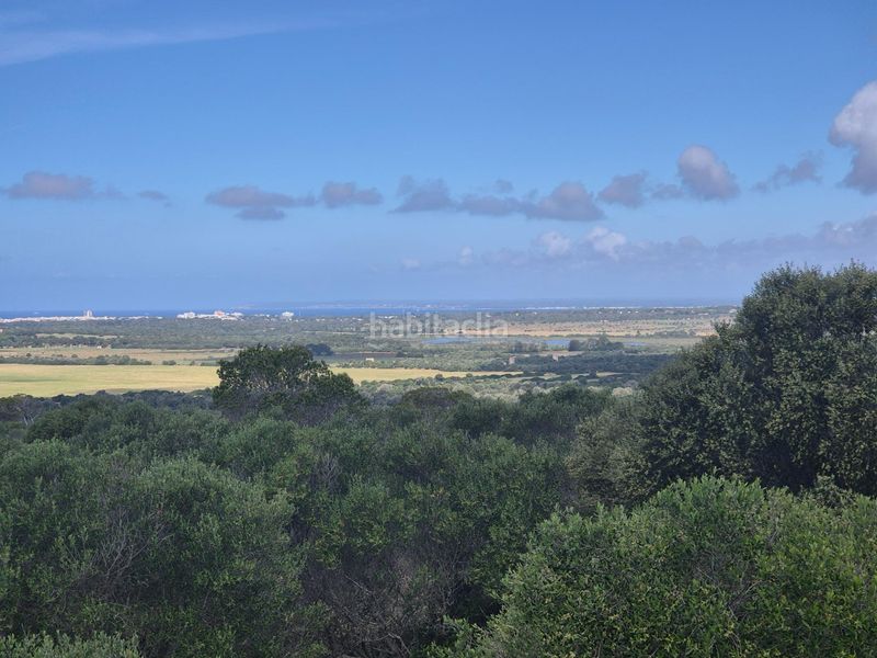 Foto d229565e-c4b4-475b-bf8a-922c22c6f8c0. Finca rústica a Santanyí poble Santanyí