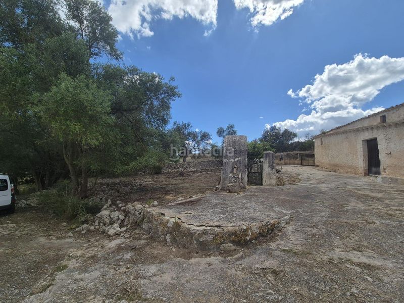 Foto 114b1c75-9e1b-4a80-a614-8da8c6d1456f. Masia amb aparcament a Sineu