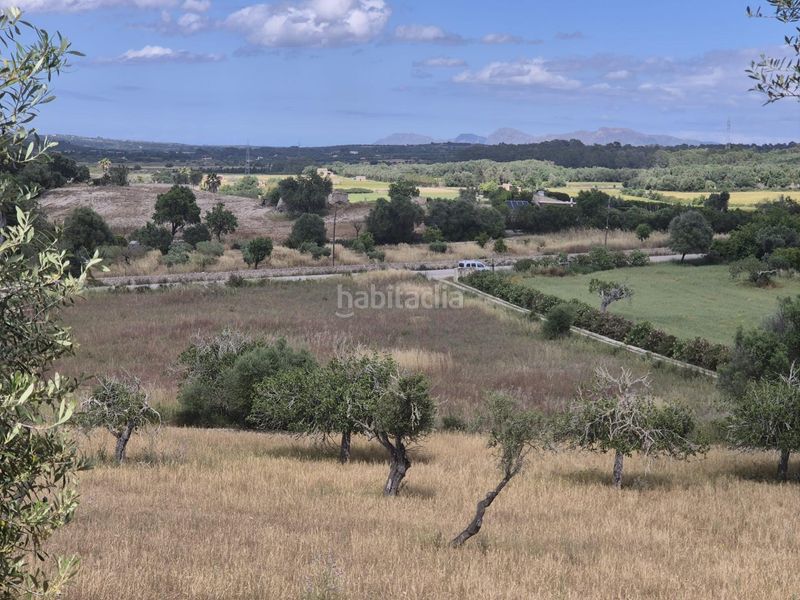 Foto 312b68f7-3ae4-46eb-8bd1-1a983a155627. Masia amb aparcament a Sineu
