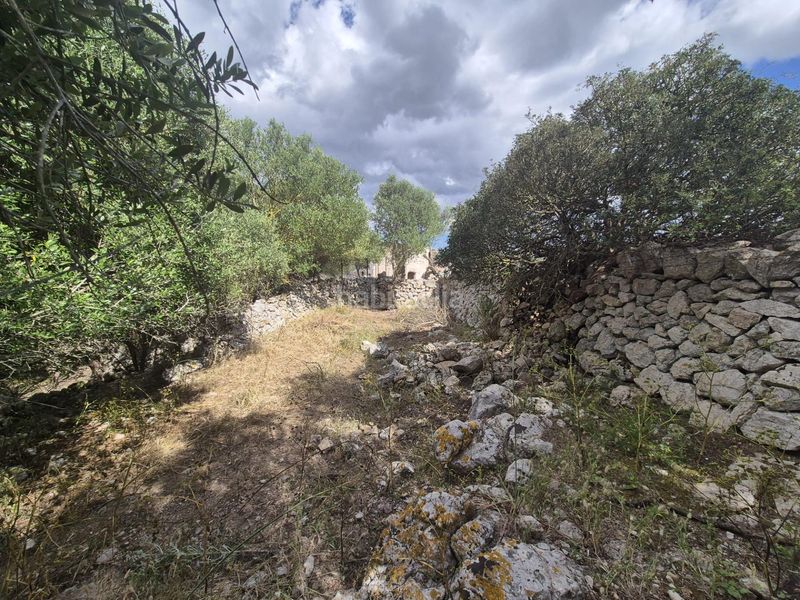 Foto 607702bd-d280-41a2-a4a6-4c153c78010c. Masia amb aparcament a Sineu