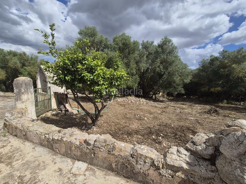 Foto 72602145-b658-470a-bba8-7fa59a6a8553. Masia amb aparcament a Sineu
