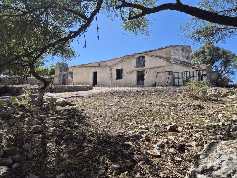 Foto 7d561a78-0300-43b8-8459-8e3b2ced1ac3. Masia amb aparcament a Sineu
