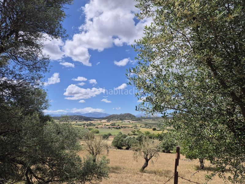 Foto ab31481f-a0a2-4338-aadf-8e56f4aafaa1. Masia amb aparcament a Sineu