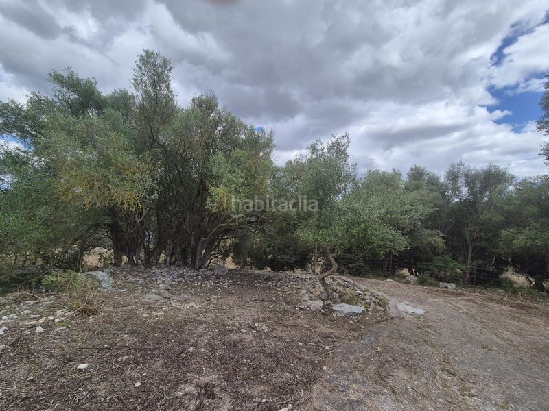 Foto e7c45869-18c5-4d21-9466-66f723fb6b5e. Masia amb aparcament a Sineu