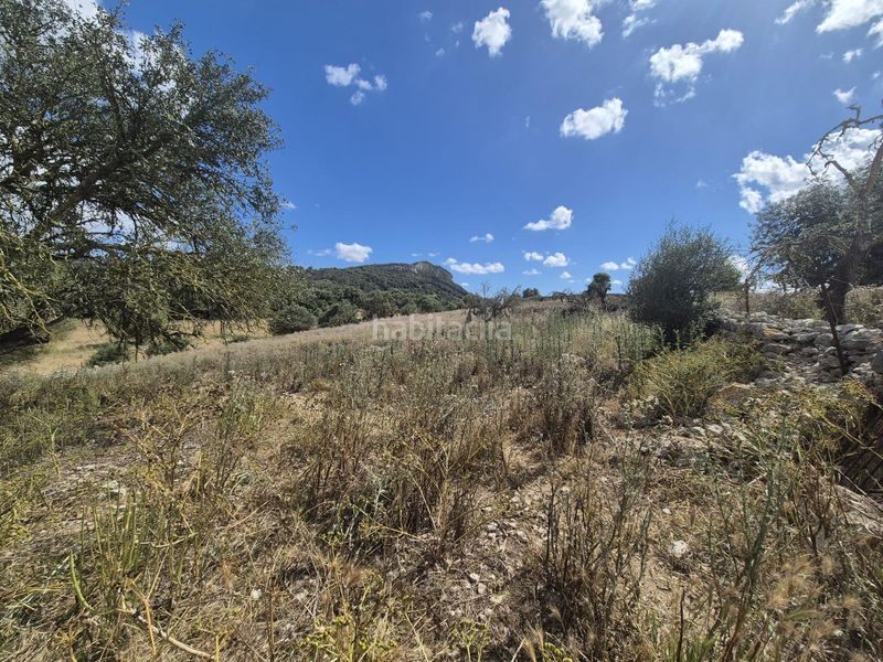 Foto f8037e8a-4a3d-445e-88de-c0d0e04d8fec. Masia amb aparcament a Sineu