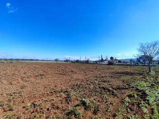 Rural plot in Santa María del Camí. Terreno rustico edificable en santa maria del cami