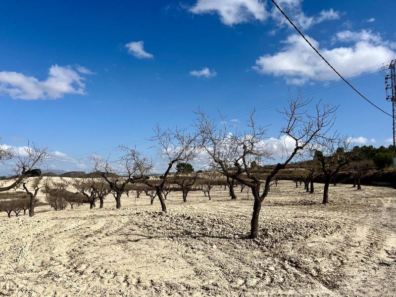 Foto 01781f50-3010-4072-acbd-229539d431e9. Wohngrundstück in Bullas