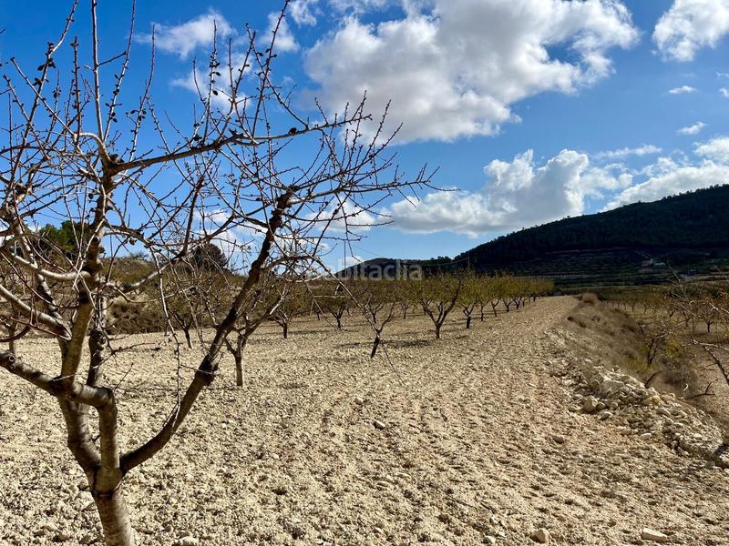 Foto 225f55e8-65da-44cd-83e7-37b5e64360c0. Wohngrundstück in Bullas