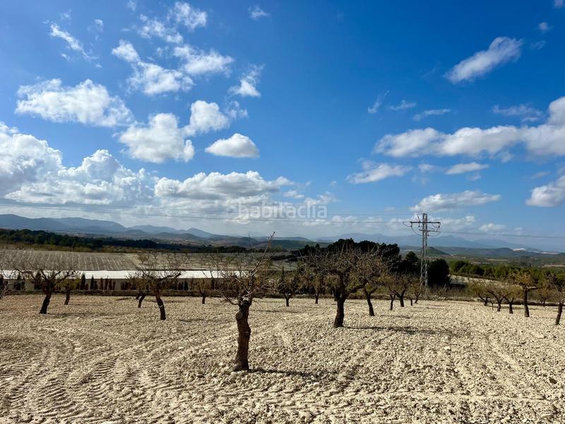 Foto 2a36da05-527b-41a8-846a-d1d427979c6b. Wohngrundstück in Bullas