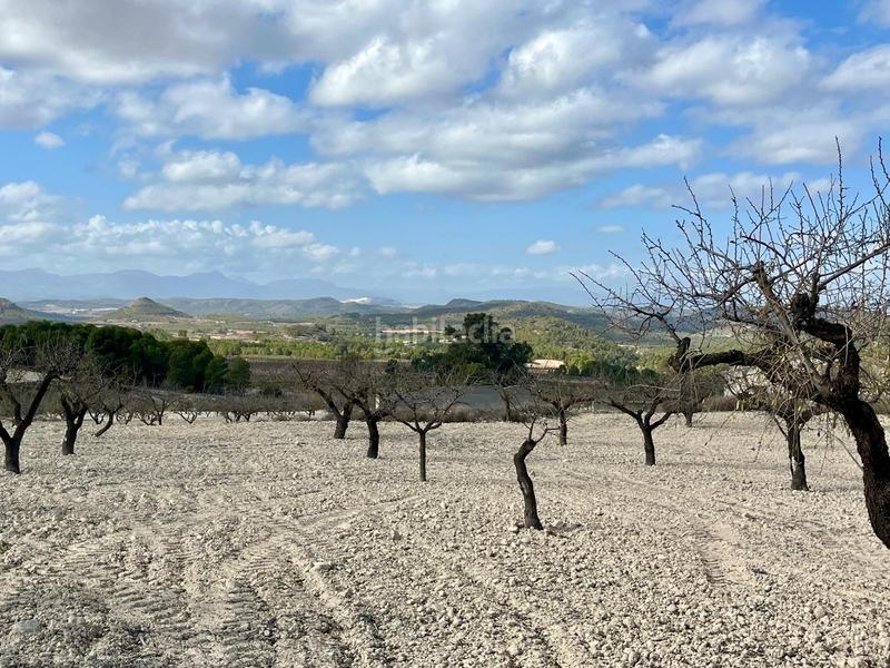 Foto 3b79834b-913f-49b9-b507-3fe96552b1e4. Wohngrundstück in Bullas