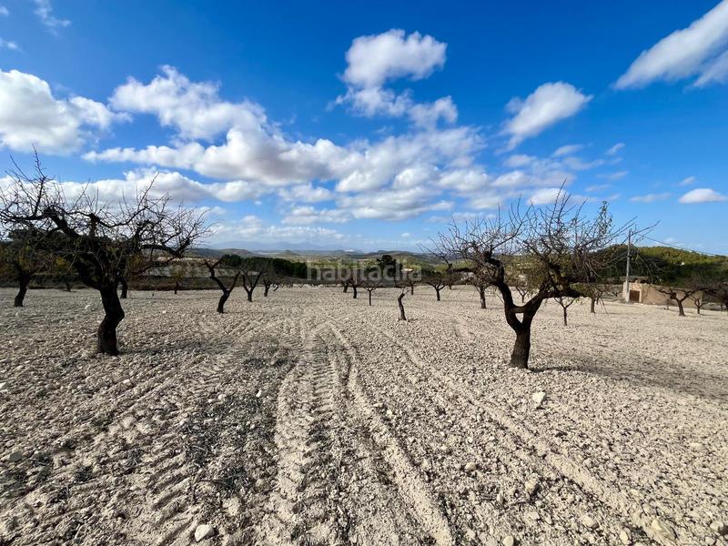 Foto 400abcf5-2c99-45e3-a3ba-6dcfe3029e79. Wohngrundstück in Bullas