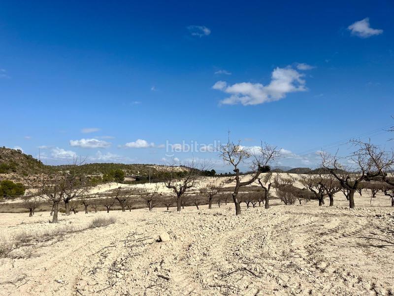 Foto a349ecd2-a6e4-4a04-916f-5e48c903d262. Wohngrundstück in Bullas