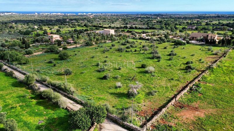 Foto a470cae2-c568-4c73-8c9f-bf564d9b4f41. Terreny residencial a Manacor centre Manacor