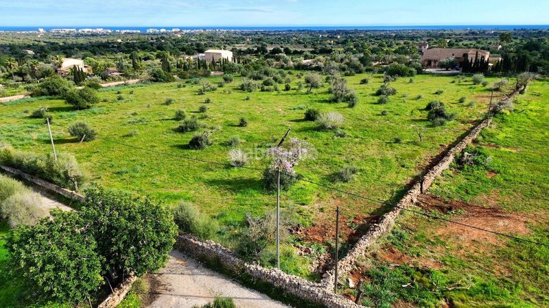 Foto a7e8f896-2d04-4465-9573-6e7670cf6e5b. Terreny residencial a Manacor centre Manacor