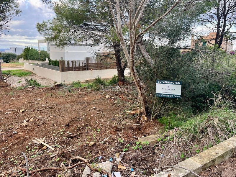 Foto 7ba8d06f-3828-4b10-8038-6380a54d275d. Terreny residencial a Artà poble Artà