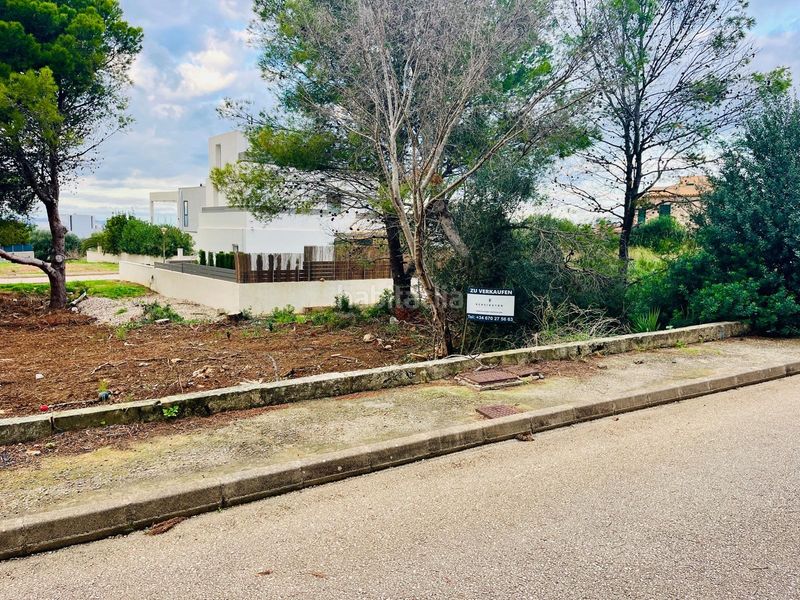 Foto 8e2ab4c8-ac54-417c-b69e-35cafc8a8505. Terreny residencial a Artà poble Artà