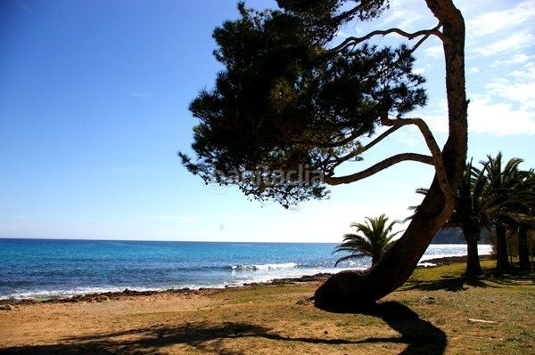 Foto 6103c1e9-2a53-48a6-a92f-1f3b37e749cb. Terreny residencial a Font de Sa Cala Capdepera