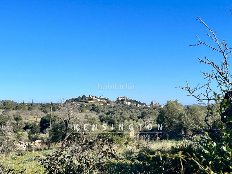 Foto 455b329a-02db-42e6-9e61-9fb92709230c. Masia amb calefacció piscina a Artà poble Artà
