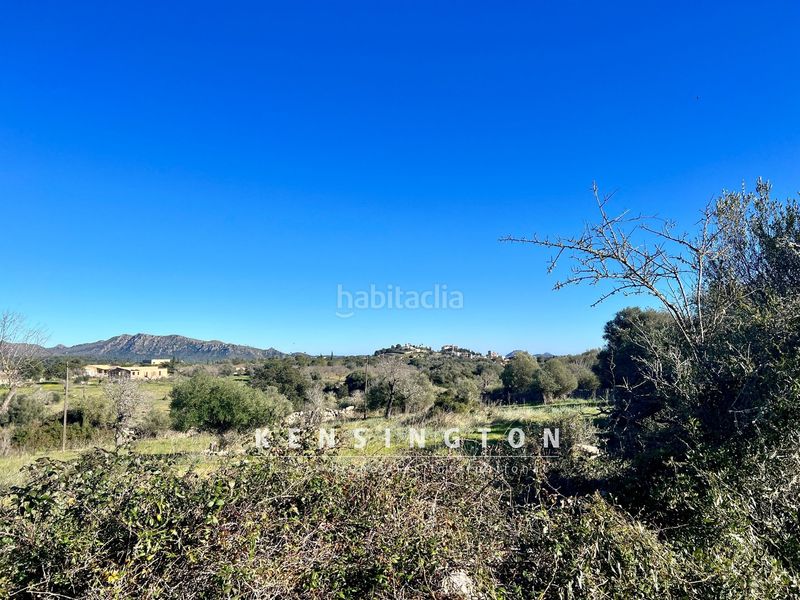 Foto 42734754-14f2-4820-9817-f452460c48e5. Terreny residencial a Artà poble Artà