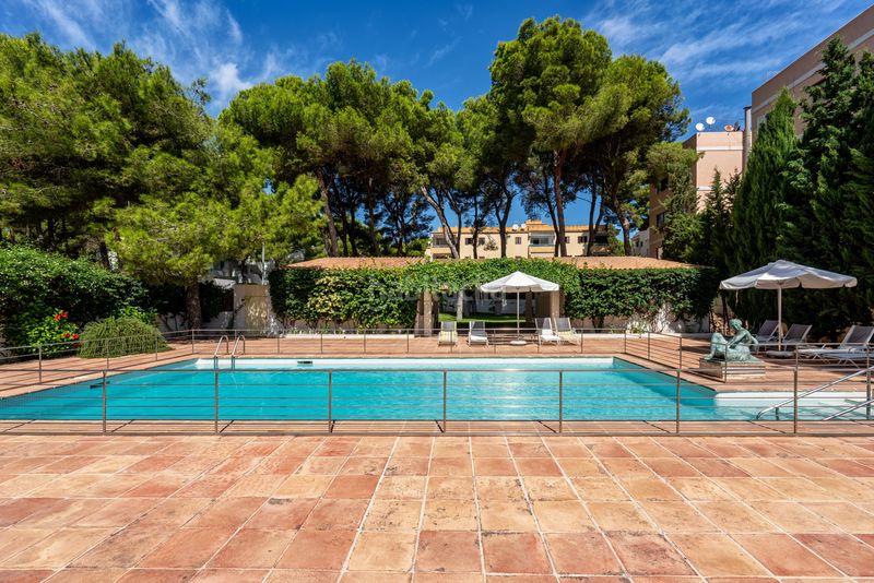 Foto ce953e22-17c7-41ae-8339-2f4eb9fba7ab. Masia amb calefacció piscina a Cala Ratjada Capdepera