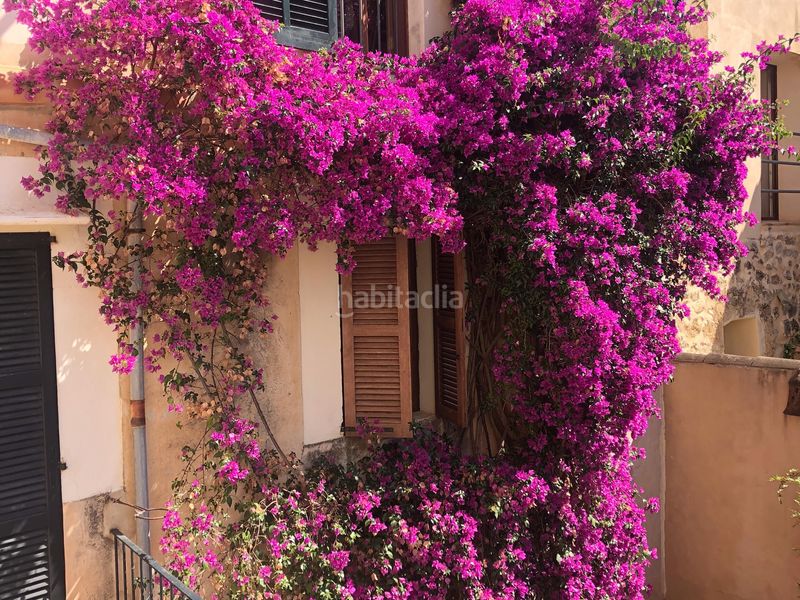 Foto d39681b4-8eed-4aad-bb1e-ae25436ea92d. Casa amb calefacció aparcament a Artà poble Artà