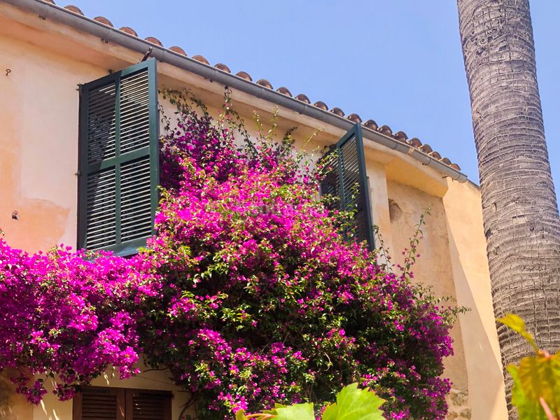 Foto e9453ca8-b016-4cef-ad0c-e7768e96a4c8. Casa amb calefacció aparcament a Artà poble Artà