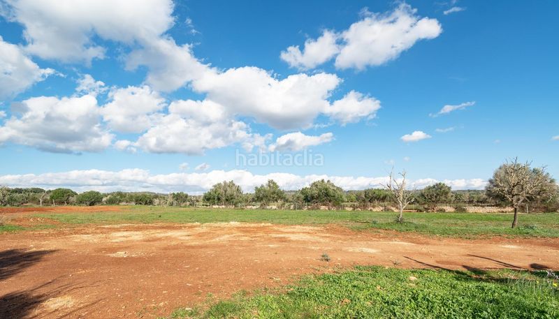 Foto 5ab652fe-2a87-4415-9771-33f38bc9cfe5. Masia amb calefacció aparcament piscina a Campos poble Campos
