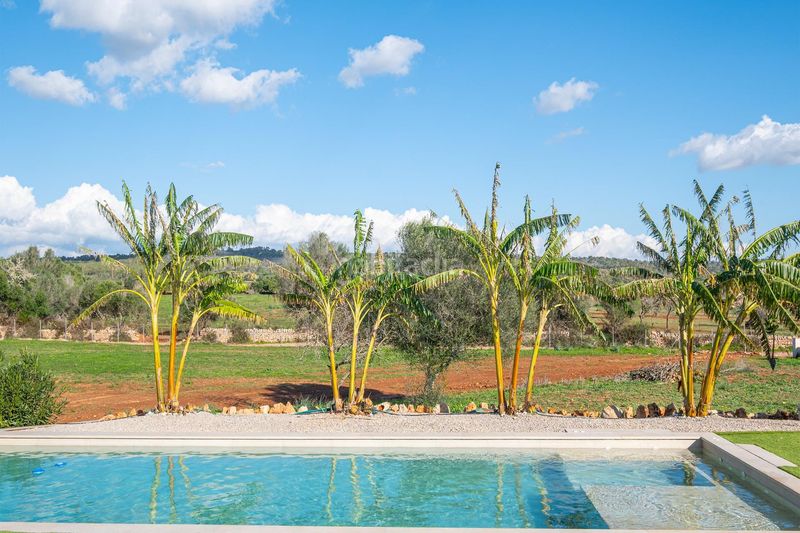 Foto d6512d15-45c0-4ba3-9f16-f0bdf4e3963a. Affitto casale con riscaldamento parcheggio piscina in Campos