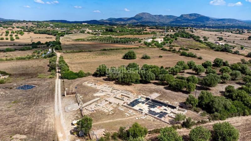 Foto e90a63a4-29f3-4269-8196-869c307fea14. Finca rústica a Manacor centre Manacor