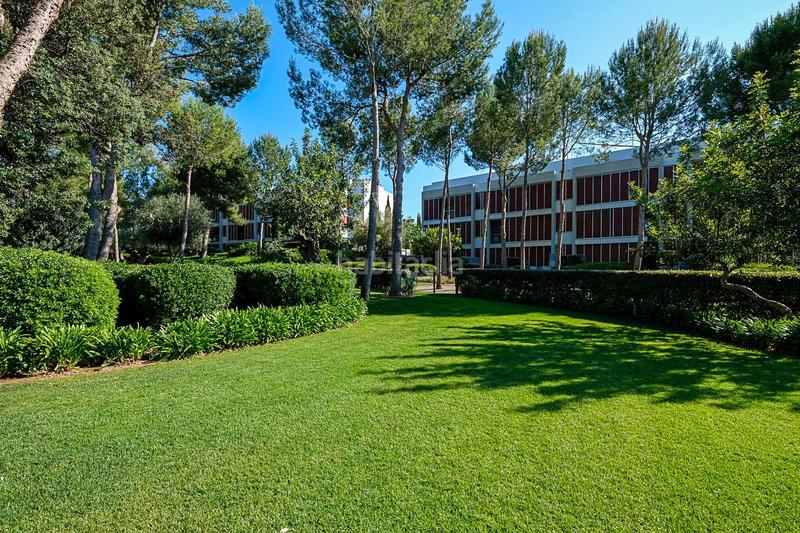 Foto a67a3193-dda1-4ac4-a37d-3730fd404188. Dachwohnung mit parking pool in Portals Nous Calvià