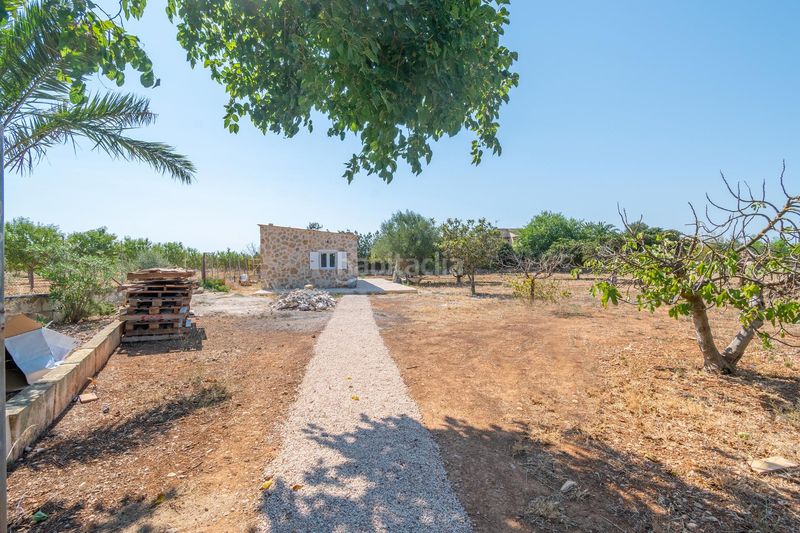 Foto 5a6e7b28-8ce5-45bc-b889-2818531393b6. Masia amb calefacció aparcament piscina a Binissalem