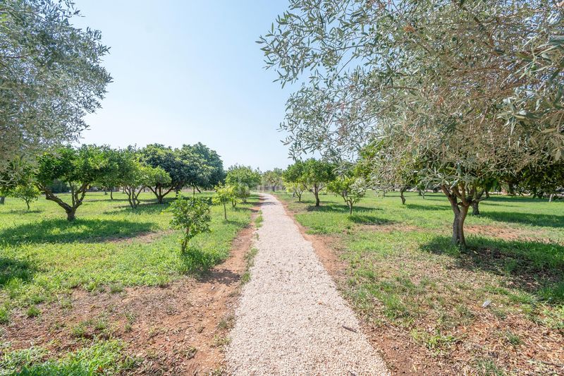 Foto ad184372-a316-450c-8640-5ca7f20c54ca. Masia amb calefacció aparcament piscina a Binissalem