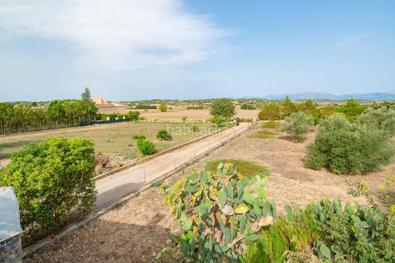 Foto b21a799b-02eb-4979-b904-59890e91ad3d. Miete bauernhof mit parking pool in Santa Margalida poble Santa Margalida