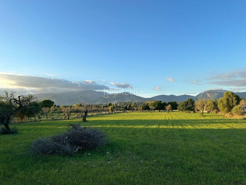 Foto 1b928e94-a839-4db9-9afa-0451f1c05730. Terreny residencial a Selva