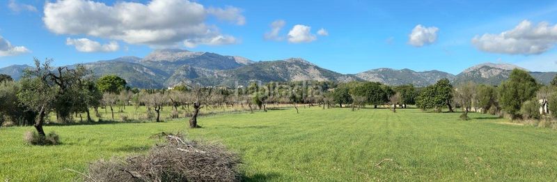 Foto 3892205a-5977-4120-a152-1579dc0120d7. Terreny residencial a Selva